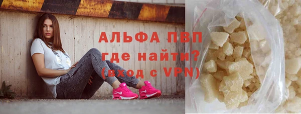 амф Ельня