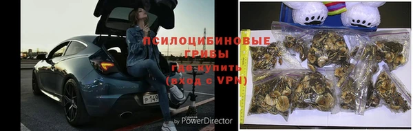 амф Ельня
