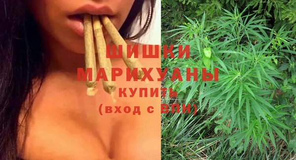 PSILOCYBIN Елабуга