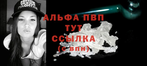 PSILOCYBIN Елабуга
