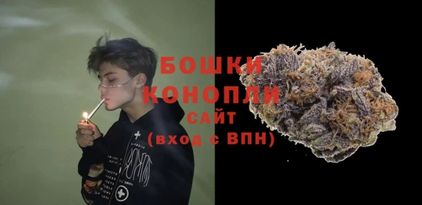 PSILOCYBIN Елабуга