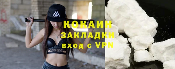 амф Ельня