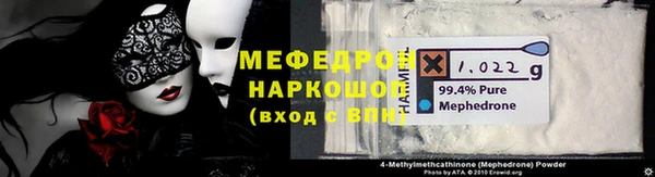 амф Ельня