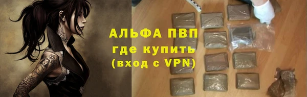 гашик Заволжье