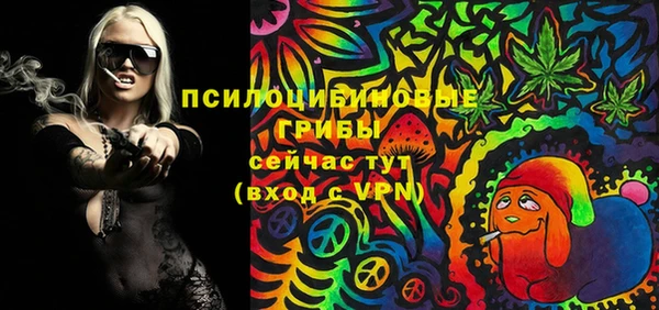 гашик Заволжье
