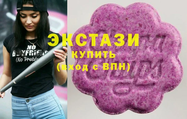 амф Ельня