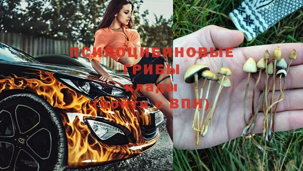 спиды Елизово