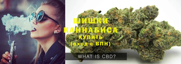 амф Ельня