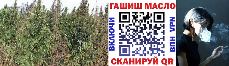 ТГК гашишное масло  Купить где  Кулебаки 